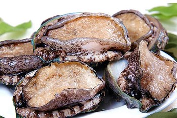 龍樓鮑魚：味道鮮美肉質(zhì)細嫩營養(yǎng)豐富