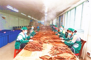 儋州：朝著高效發(fā)展路子邁進，做大做優(yōu)做強農業(yè)產(chǎn)業(yè)
