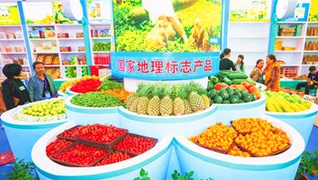 2019年冬交會(huì)今天開幕，共設(shè)34個(gè)展館（區(qū)）
