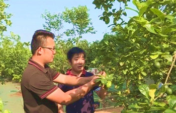 王俏：打造“世界熱帶水果之窗”帶動(dòng)農(nóng)民致富