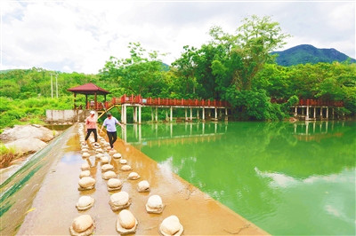 昌江大章村結(jié)合木棉景觀，發(fā)展旅游觀光業(yè)