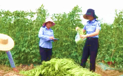 保亭：嚴把農(nóng)產(chǎn)品質(zhì)量安全關(guān) 確保群眾舌尖上安全