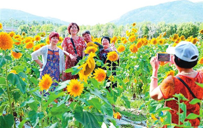 三亞花卉產(chǎn)業(yè)發(fā)展欣欣向榮，助推鄉(xiāng)村振興