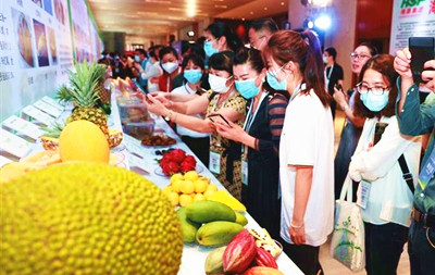 三亞：創(chuàng)新種業(yè)高地，打造國際化南繁硅谷