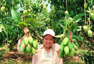 儋州網(wǎng)紅達(dá)人電商帶貨，助力家鄉(xiāng)農(nóng)產(chǎn)品銷售