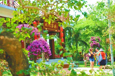 瓊海美麗鄉(xiāng)村建設(shè)：一村一特色，一村一主題