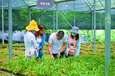 ?？趯⒋蝽懞？诨鹕绞放疲苿邮a(chǎn)業(yè)發(fā)展