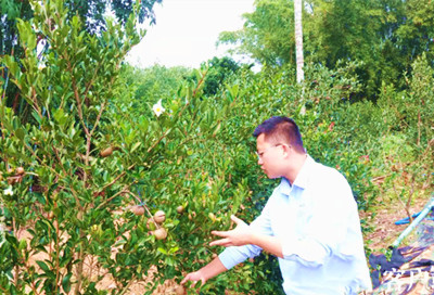 瓊海市推廣應(yīng)用油茶脫殼技術(shù)，首臺油茶脫殼機亮相
