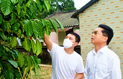 龍衛(wèi)東：重塑文昌百年咖啡文化，打造獨具特色咖啡品牌