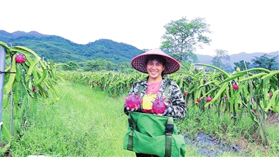 昌江：讓特色農(nóng)產(chǎn)品漫步“云端”