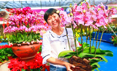 昌江持續(xù)探索創(chuàng)建特色花卉產(chǎn)業(yè)，打造花卉品牌效應(yīng)